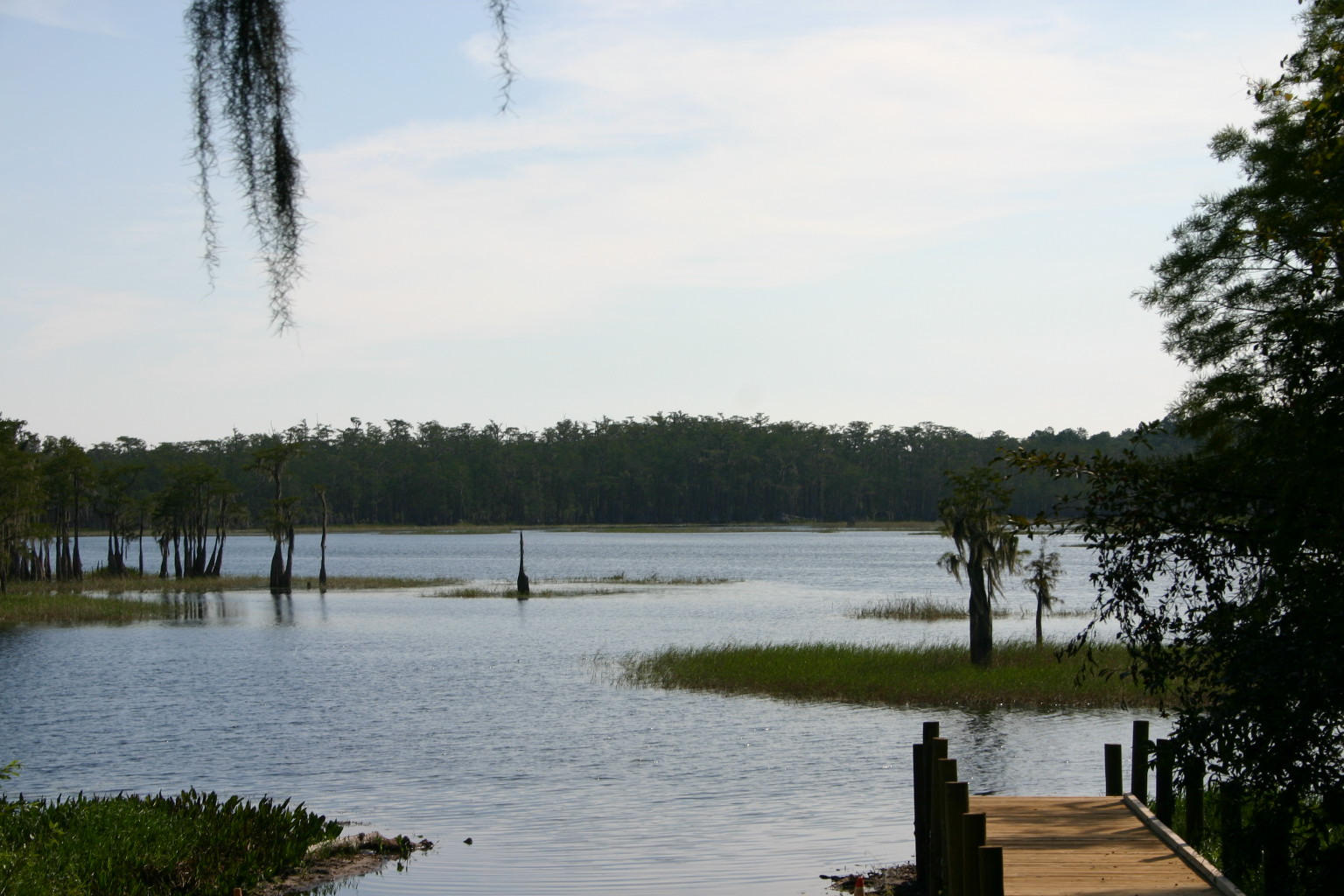 Sunny Hills, FL 17 lot package